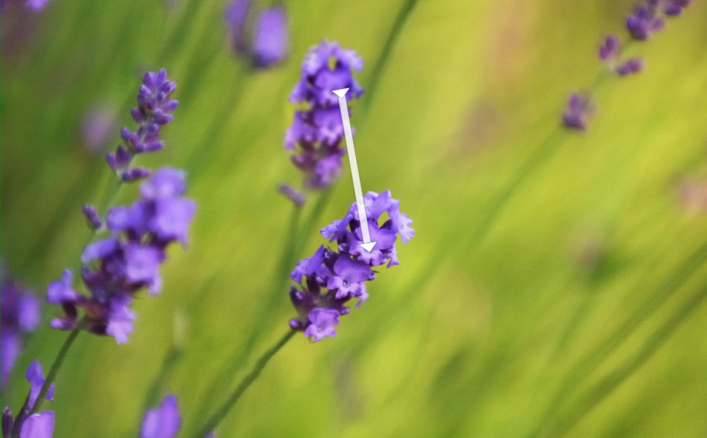 Profile image of Assister